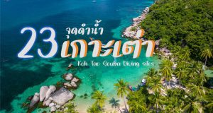 23 Koh Tao / Koh Nangyuan Scuba diving sites – Suratthani