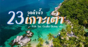 รวม23จุดดำน้ำตื้น/ลึกรอบเกาะเต่า เกาะนางยวน จ.สุราษฎร์ธานี / Scuba diving – Snorkeling