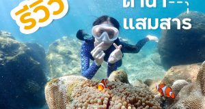 ทริปดำน้ำ อ่าวแสมสาร ทะเลใสๆ ใกล้กรุงเทพฯ ราคาไม่ถึงพัน !
