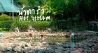 Full Day Tour Emerald Pool and Hot Spring waterfall 