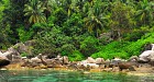 Koh Nangyuan & Koh Tao One Day Tour 