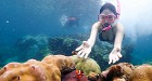 Guaranteed Fun ! at Samaesarn Bay Half Day Snorkeling trip