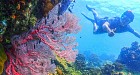 Guaranteed Fun ! at Samaesarn Bay Half Day Snorkeling trip