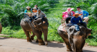 James Bond Island + Elephant Trekking by Longtail Boat