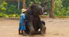 James Bond Island + Elephant Trekking by Longtail Boat