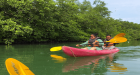 James Bond Island + Elephant Trekking by Longtail Boat