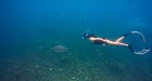 Koh Nangyuan & Koh Tao: 5 Point Snorkeling 