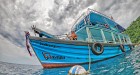 Koh Nangyuan & Koh Tao: 5 Point Snorkeling 