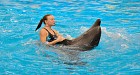 Phuket Dolphin Show