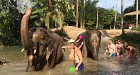 Aonang Elephant Sanctuary