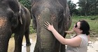 Aonang Elephant Sanctuary