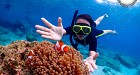 Samae San Island Day Tour - Speedboat Charter