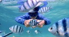 Fun trip at Samae San Snorkeling - Join trip 