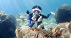 Fun trip at Samae San Snorkeling - Join trip 