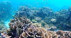Bruer Island Ranong 