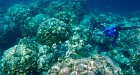 Premium Day Trip Koh Rok + Koh Haa  from Phuket