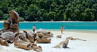 Compact Surin Islands Day Tour by Speedboat(Most Valued)