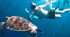 Compact Similan Islands Day Tour by Speedboat(Most Valued)