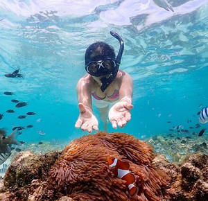 Guaranteed Fun ! at Samaesarn Bay Half Day Snorkeling trip