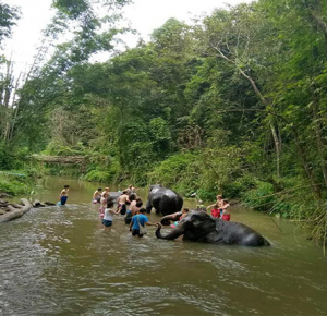 ทัวร์เดินป่า อาบน้ำช้าง ล่องแพไม้ไผ่ อ.แม่วาง เชียงใหม่ 1 วัน