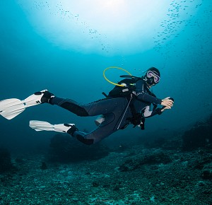 Similan Islands diving day trip [2 Dives]