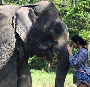 Aonang Elephant Sanctuary