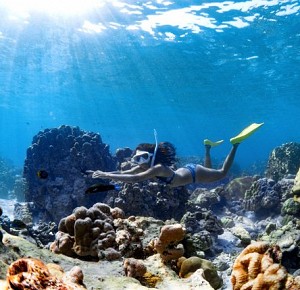 Surin Islands Day Tour