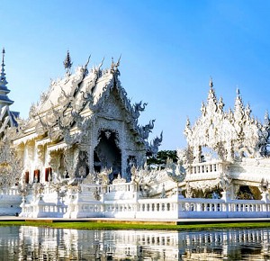 White Temple and Golden Triangle One Day Tour from Chiang Mai