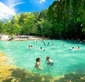 Full Day Tour Emerald Pool and Hot Spring waterfall 