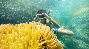 Koh Nangyuan & Koh Tao: 5 Point Snorkeling 