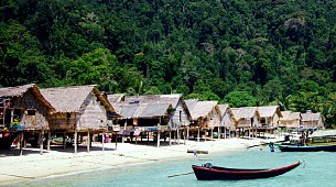 Compact Surin Islands Day Tour by Speedboat(Most Valued)