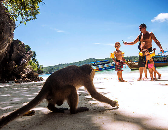 Monkey Beach