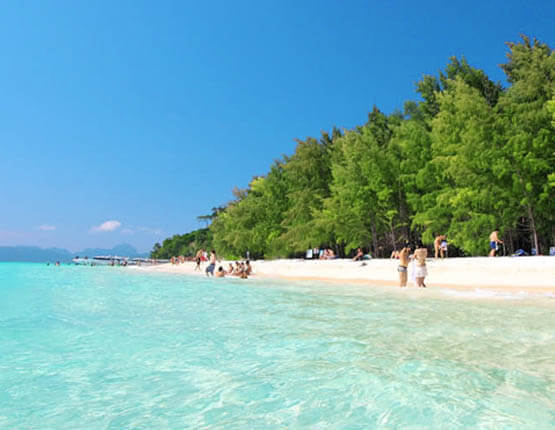 Bamboo Island 