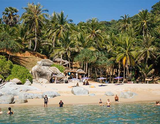 Swimming or snorkelling